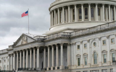 Designing a Government-Friendly Website